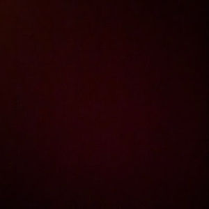 Meet your Posher, Marlon